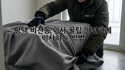 평택 비전동 이사 꿀팁🍯 안전하게 이사하는 방법!