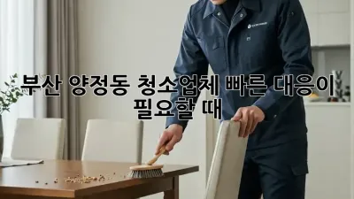 부산 양정동 청소업체, 빠른 대응이 필요할 때!