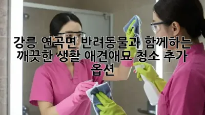 강릉 연곡면 반려동물과 함께하는 깨끗한 생활, 애견/애묘 청소 추가 옵션!