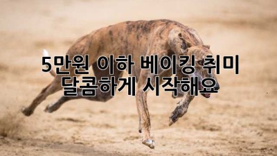 5만원 이하 베이킹 취미, 달콤하게 시작해요!